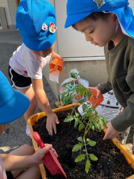 5月のこどもたち
